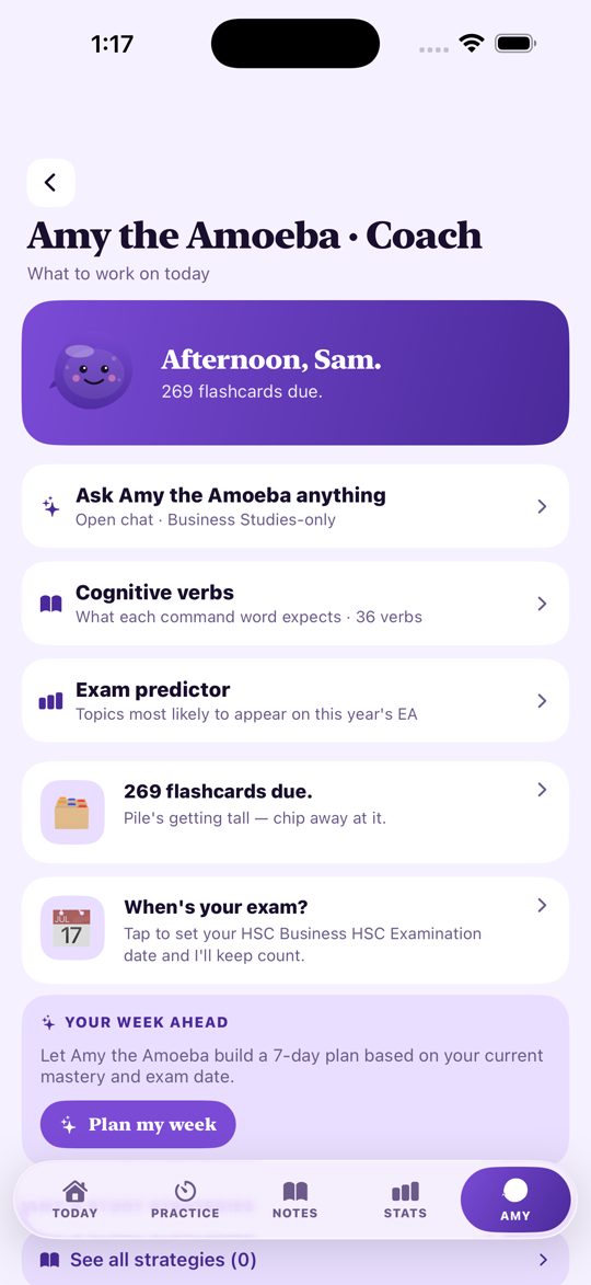 HSC Study Business Studies — Amy the Amoeba
