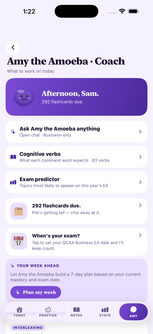 QCAA Study Business — Amy the Amoeba