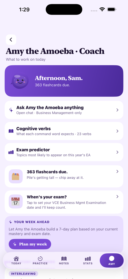 VCE Study Business Management — Amy the Amoeba